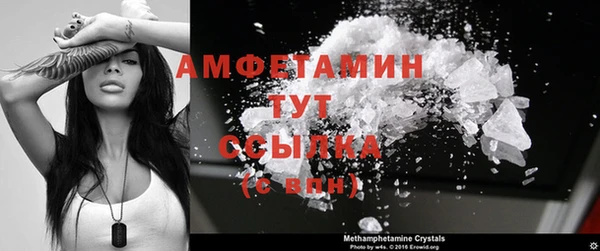 гидра Инсар
