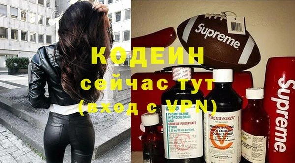 гидра Инсар