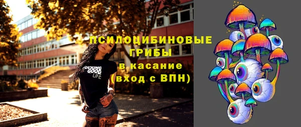 гидра Инсар