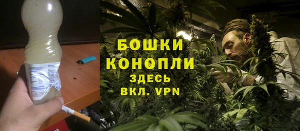 гидра Инсар