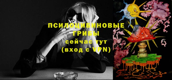 гидра Инсар