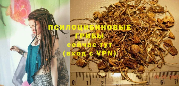молекула духа Иннополис