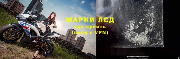 гидра Инсар